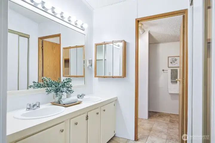 primary bathroom with walk in closet to the left - out of frame