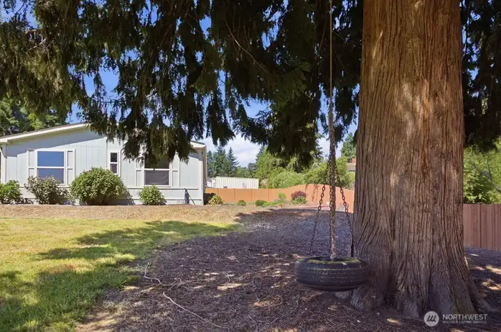 tire swing!