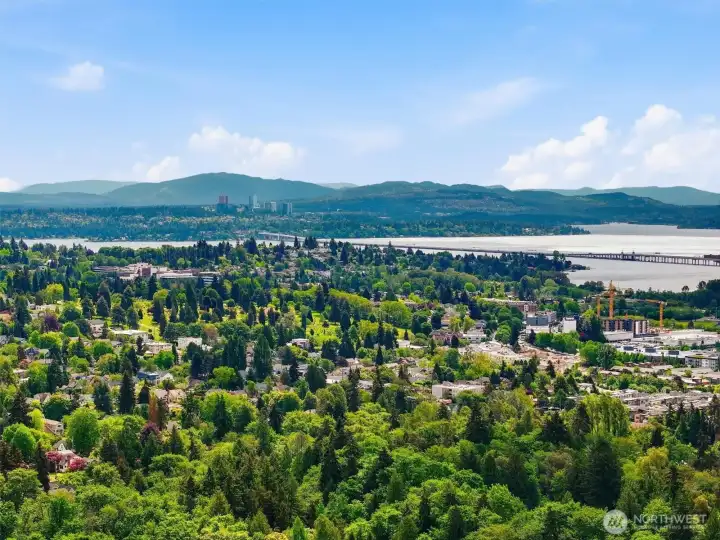 Aerial photo looking east.  You can see Lake Washington and Belleview from this photo. Coveted Ravenna Park location, walking distance to light rail, Whole Foods, restaurants, Ravenna Park, cafes, etc. And only minutes to UW, Children's, downtown, Amazon & 520. A remarkable 94 walk score and 90 bike score!