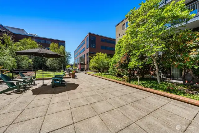 Spacious Courtyard for entertaining