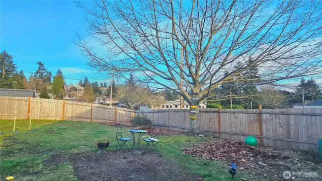 partially fenced yard