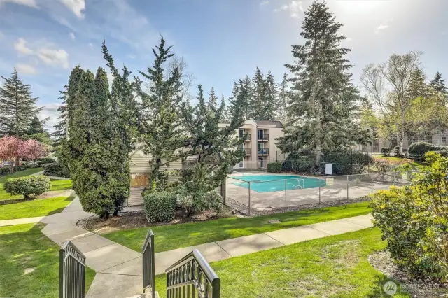 Community Outdoor Swimming Pool