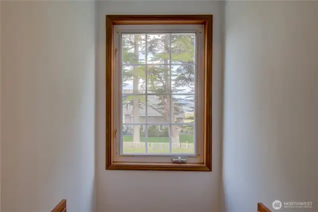 View from the upstairs bedroom #2