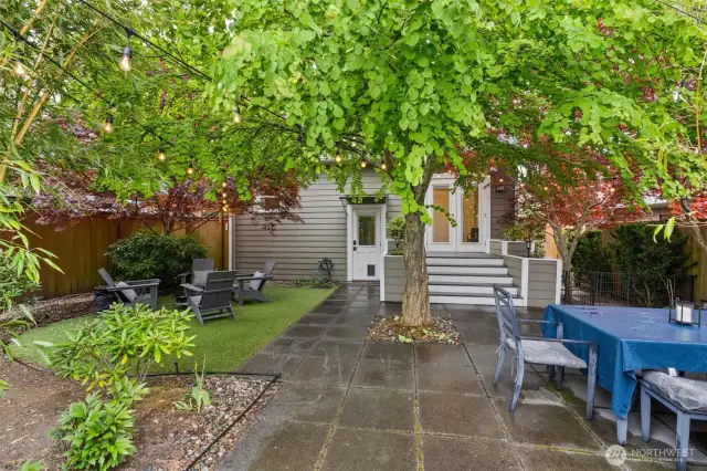The backyard - wow!  You will love to hang out here and take in the afternoon sunshine.