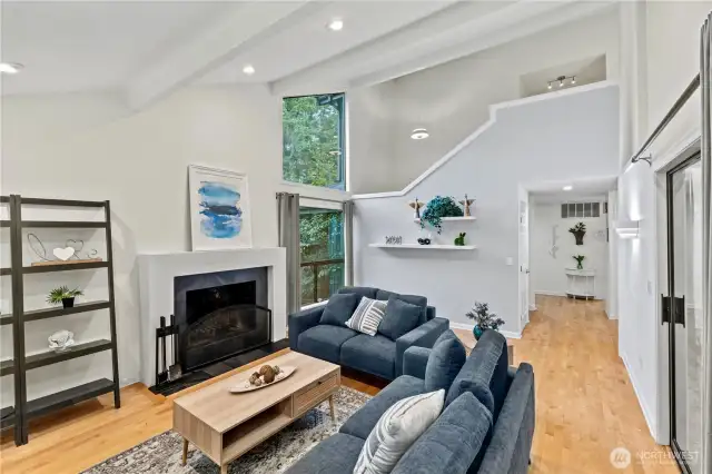 Modern fireplace amongst the traditional Mid Century Modern design