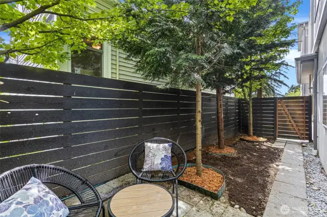 Enclosed back and side yard with access gate.