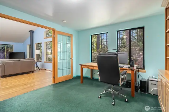 Bedroom/Office off Family room