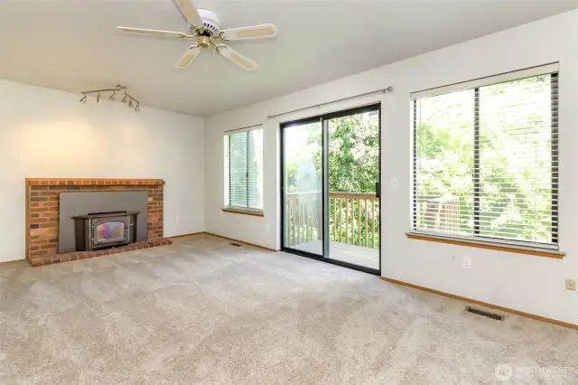Lower level family room