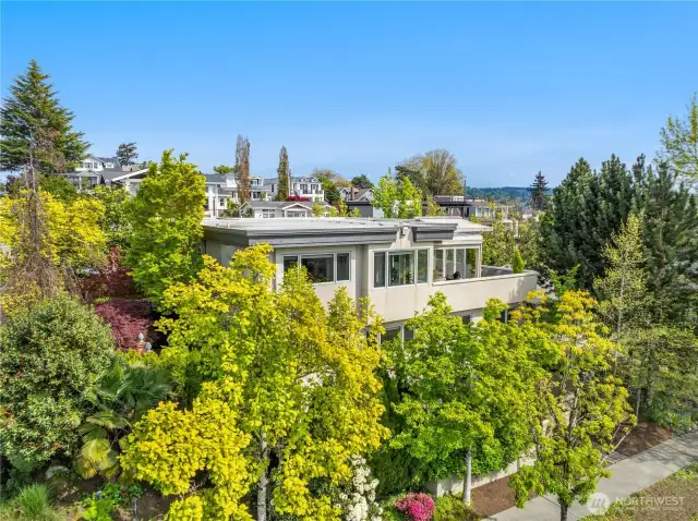 The majestic apartment sits high above this lovely, custom residence/commercial building.