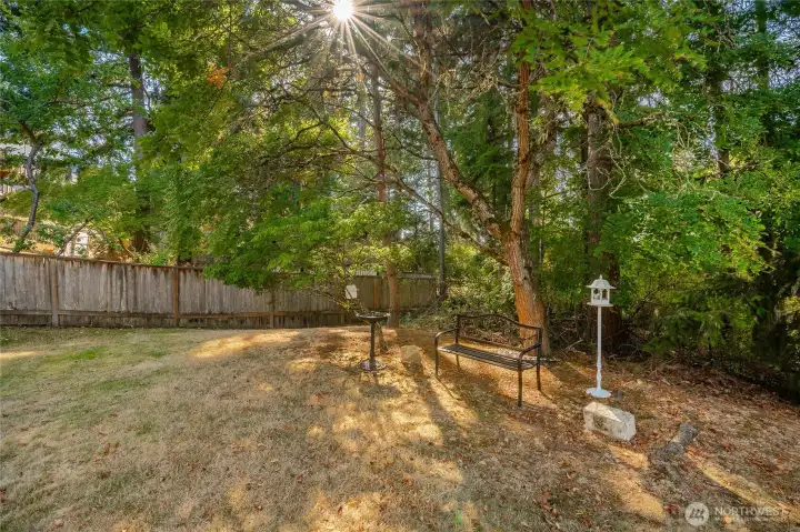 Backyard has a quiet meditation spot and is partially fenced