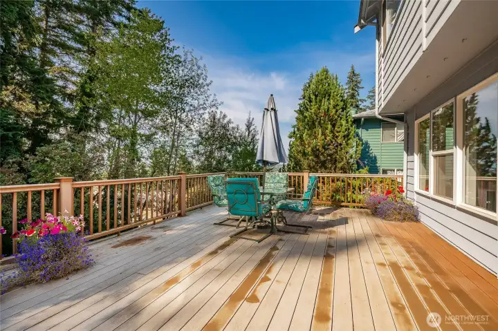 Large trex deck to host BBQs on or to unwind and enjoy evening sunsets.