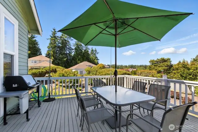 BBQ/s, Relaxation and entertaining off this 30x15 view deck!!