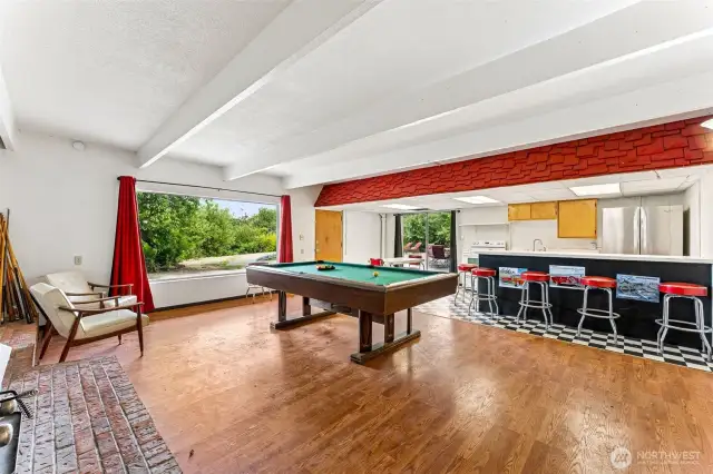 Basement Living Room
