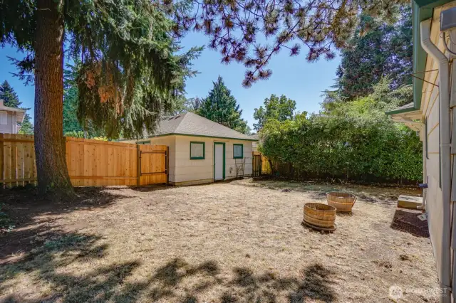 Back yard
