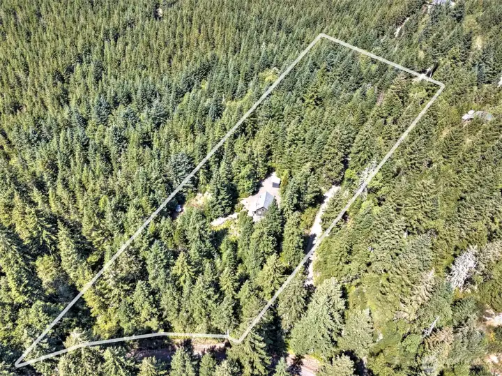 Lots of woods around you