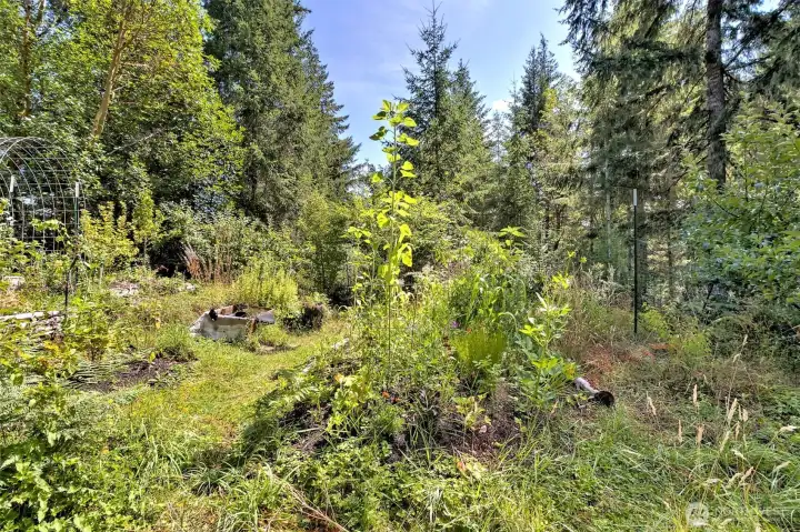 Lots of garden