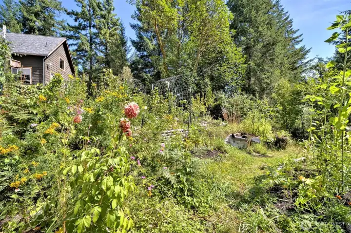 Pleanty of garden