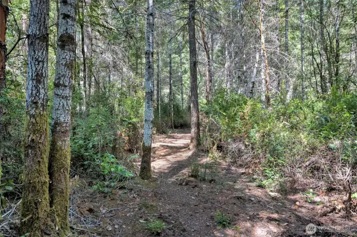 More trails