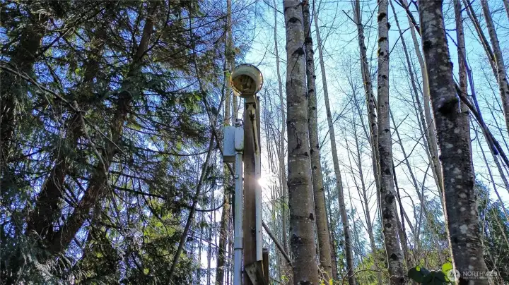 Driveway lamp with breaker box.