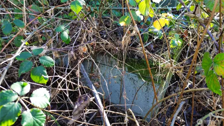 Drainage catch basin next to driveway.