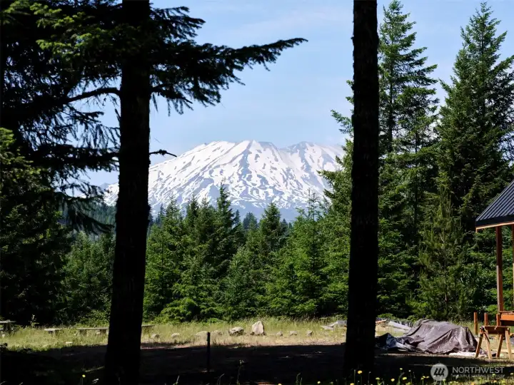 What a view! Mt. St. Helens