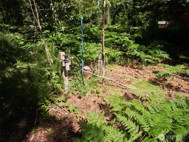 Individual Well on LOT 3