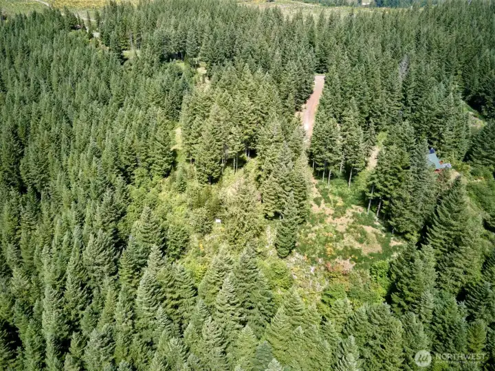 Aerial view of the lots