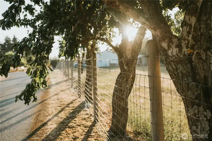 A peaceful street- ready for the lifestyle of your dreams!