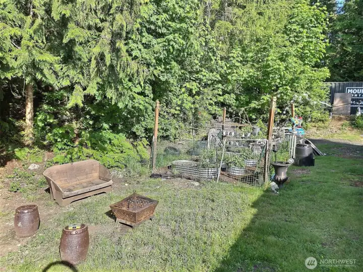 backyard garden