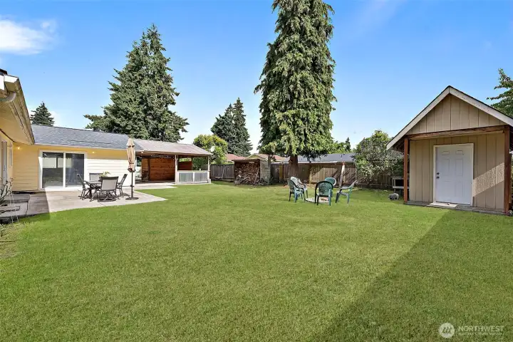 Backyard. Grass is photoshopped.