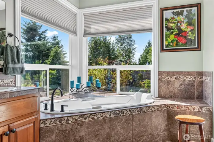 Jetted tub with great views.