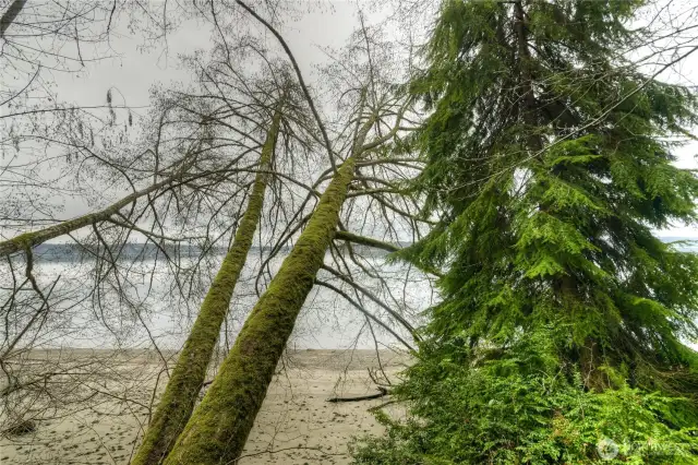 Sandy beach