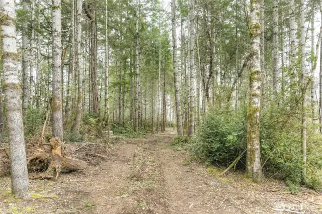 Driveway to property.