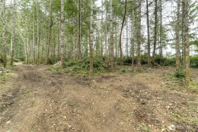 Level and mostly cleared ready for your building site!
