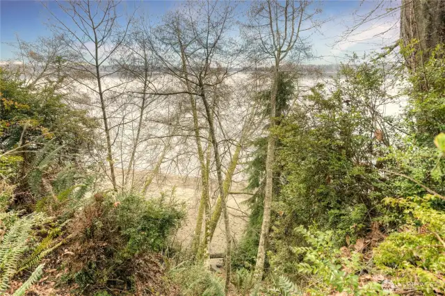 Photo of beach from top of path.