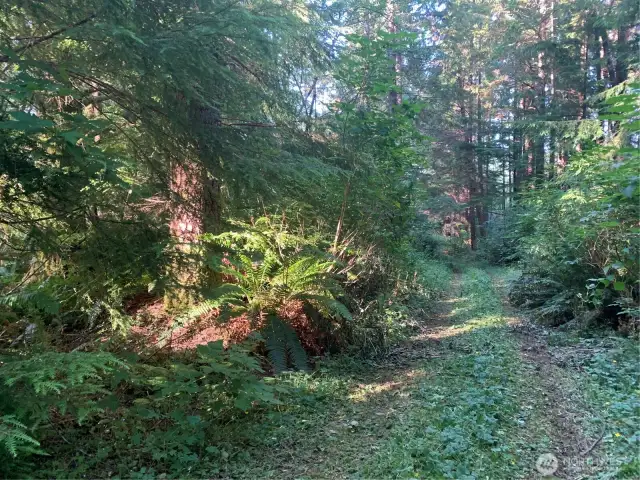 easement road to property