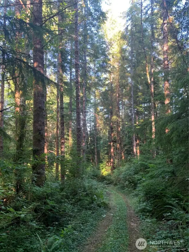 easement road to property