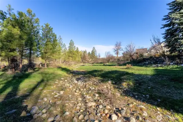 Back yard