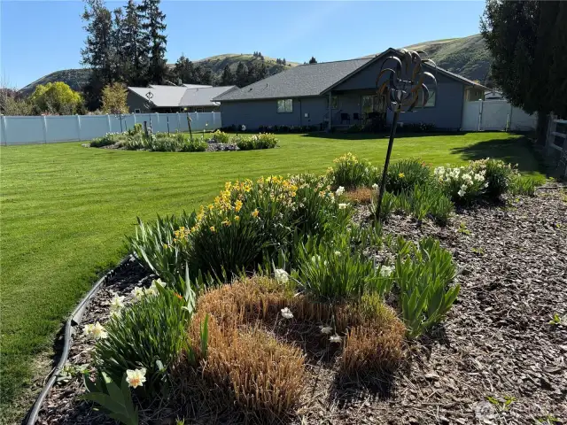 perennial flower gardens in back yard