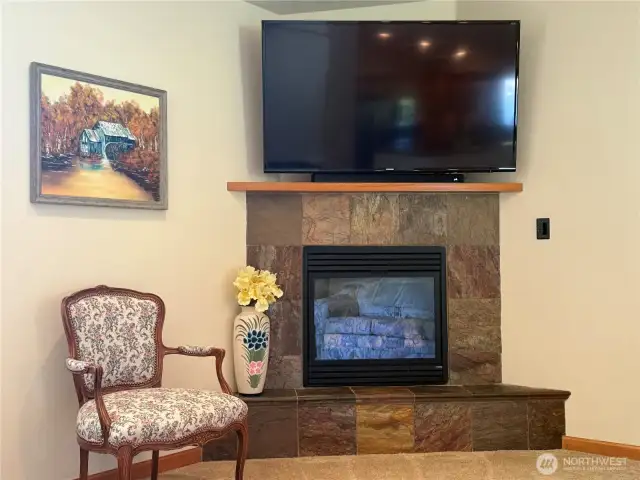 one of two propane fireplaces