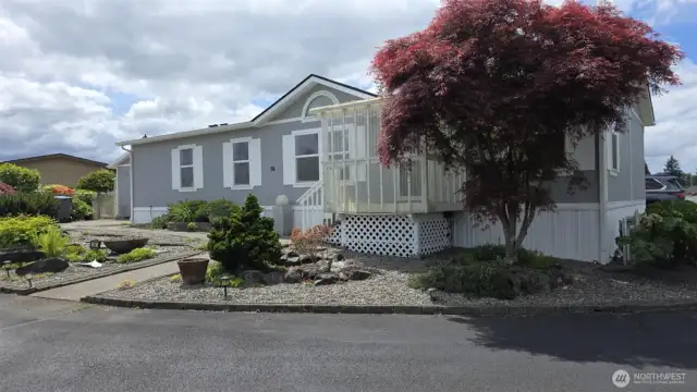 Landscaped yard