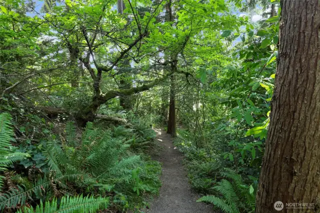 Path that leads to lower cabin.