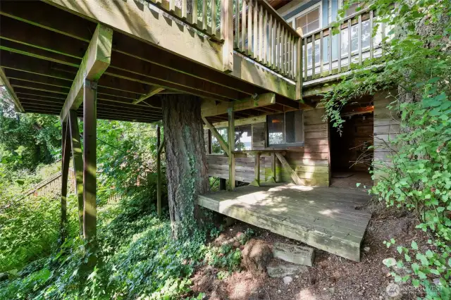 Access to basement space in lower cabin. Living room, 1 bedroom and small .75 bath.