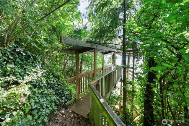 Like a tree fort path to the stairs leading to boat house and water.
