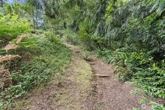 Path in backyard up to shop area behind home