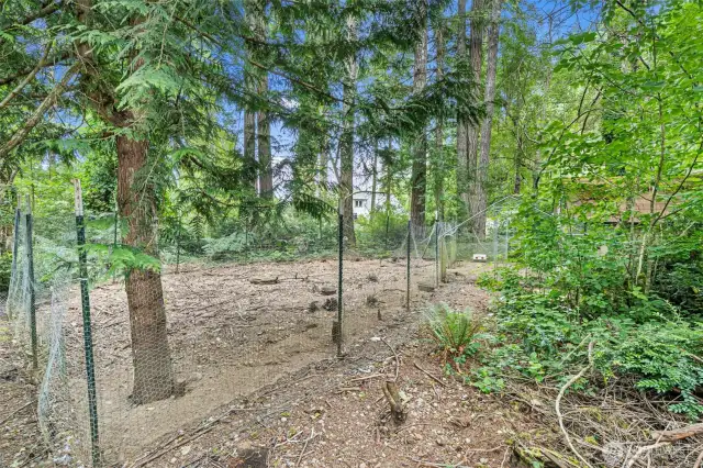 Chicken run area