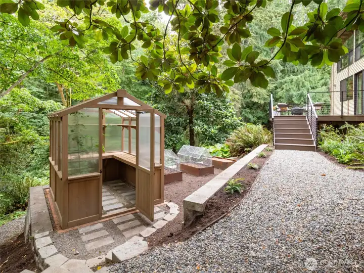 Grow your favorite herbs, veggies, and flowers in this awesome greenhouse. There's also blueberry bushes just below it!