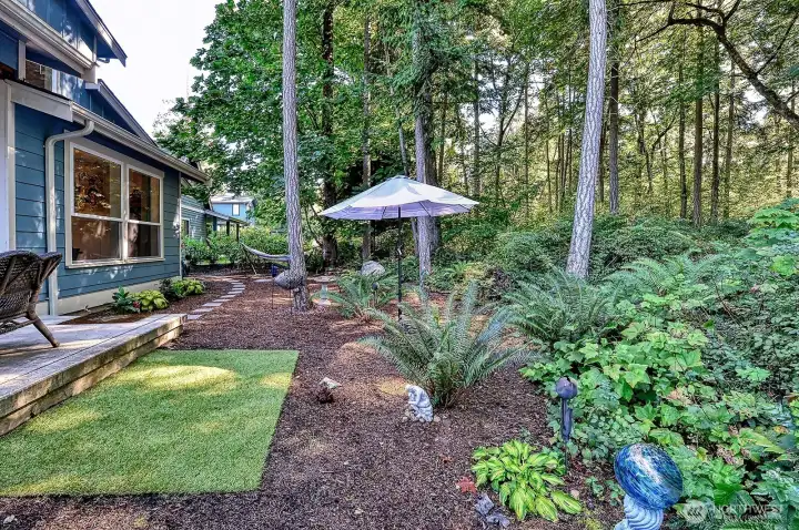 Back yard