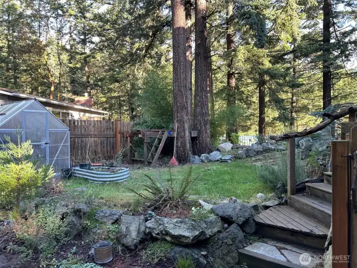 North side of the house.