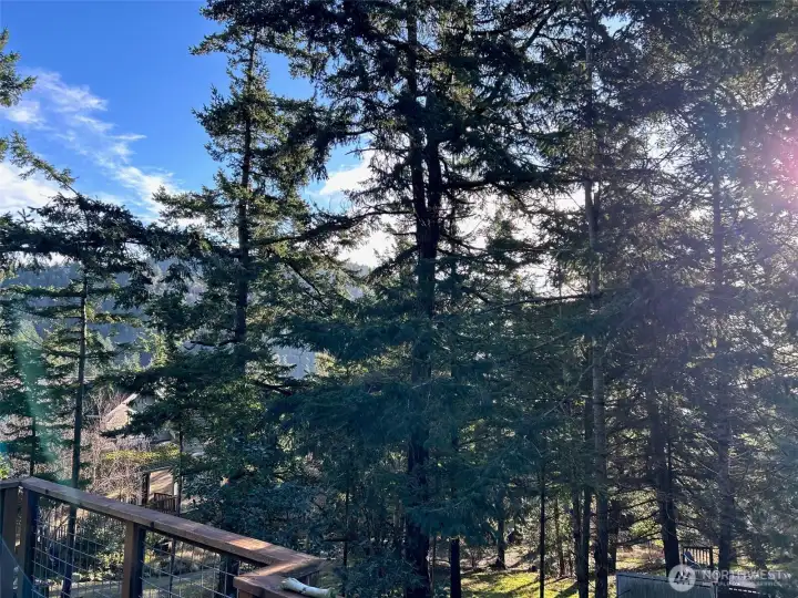 Beautiful southeast View!